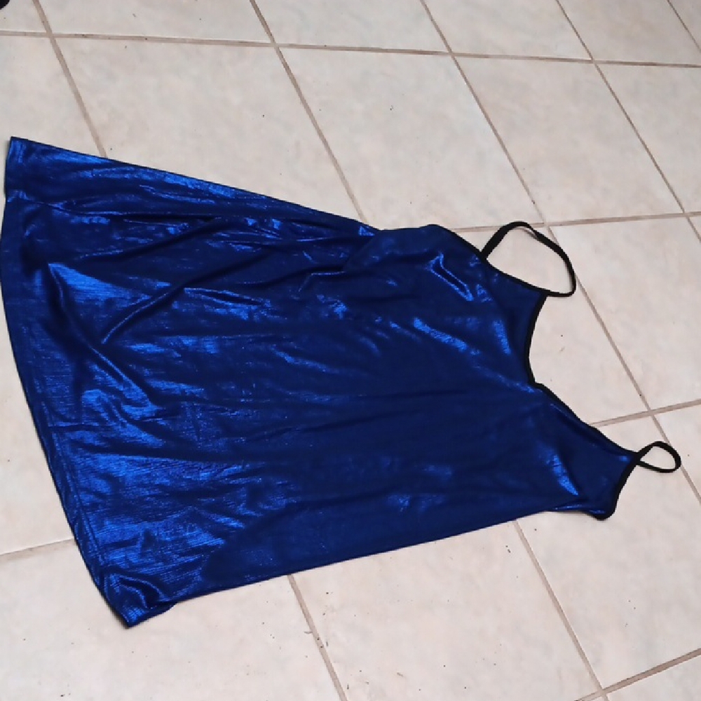Shimmering Blue Sleeveless Top In 4x